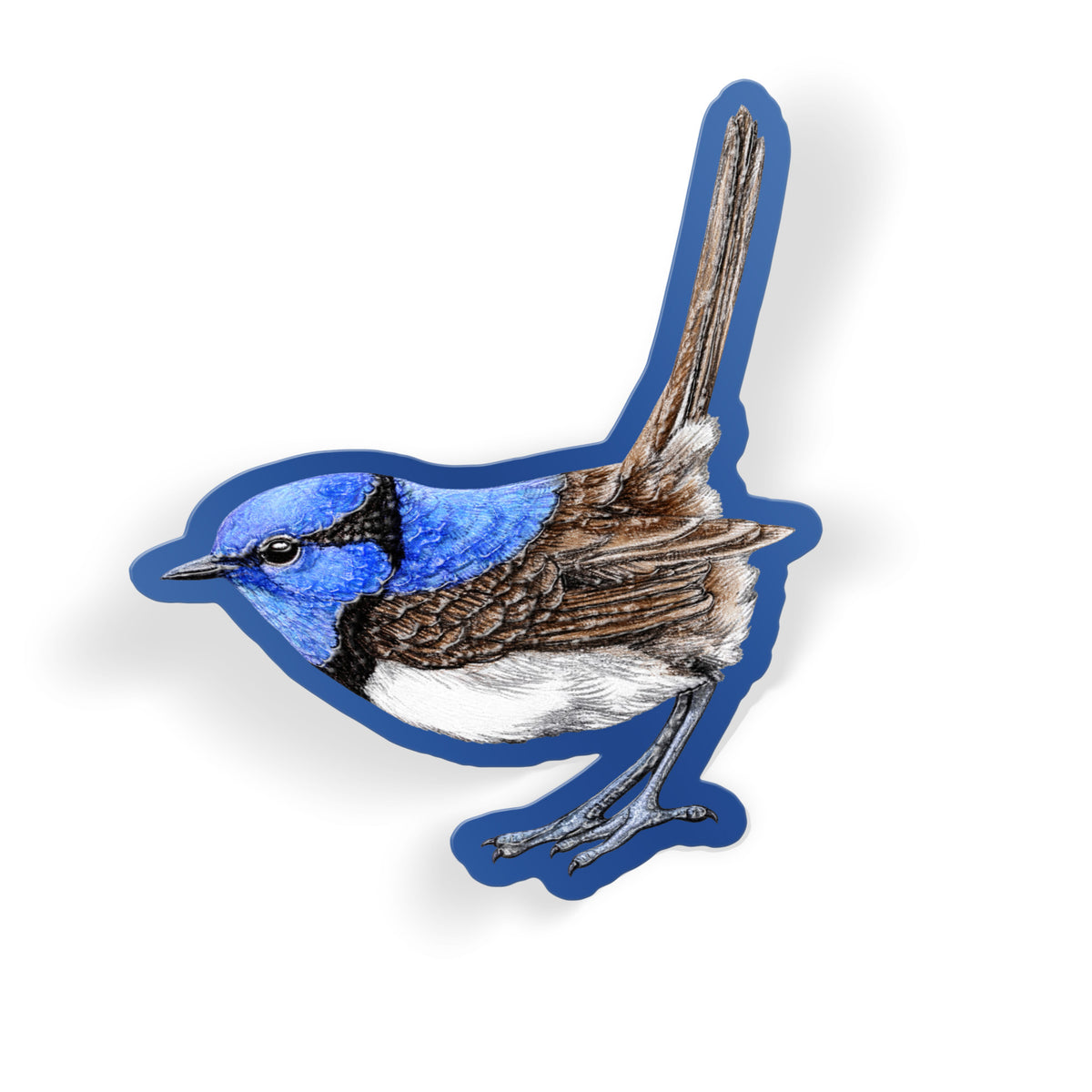 Blue Fairy Wren