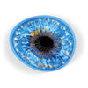 Blue Iris