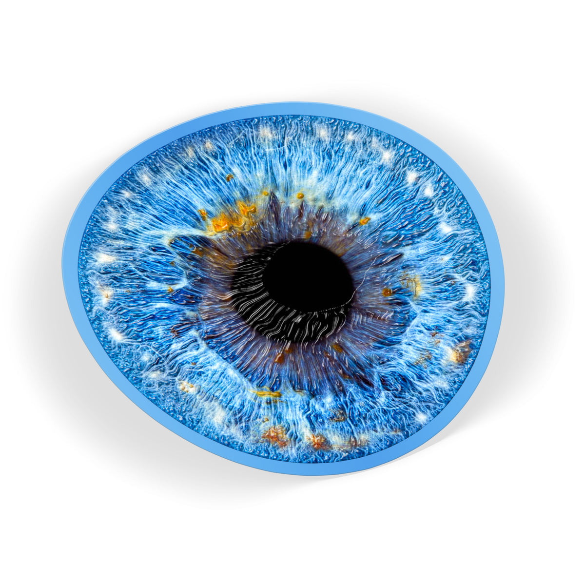 Blue Iris