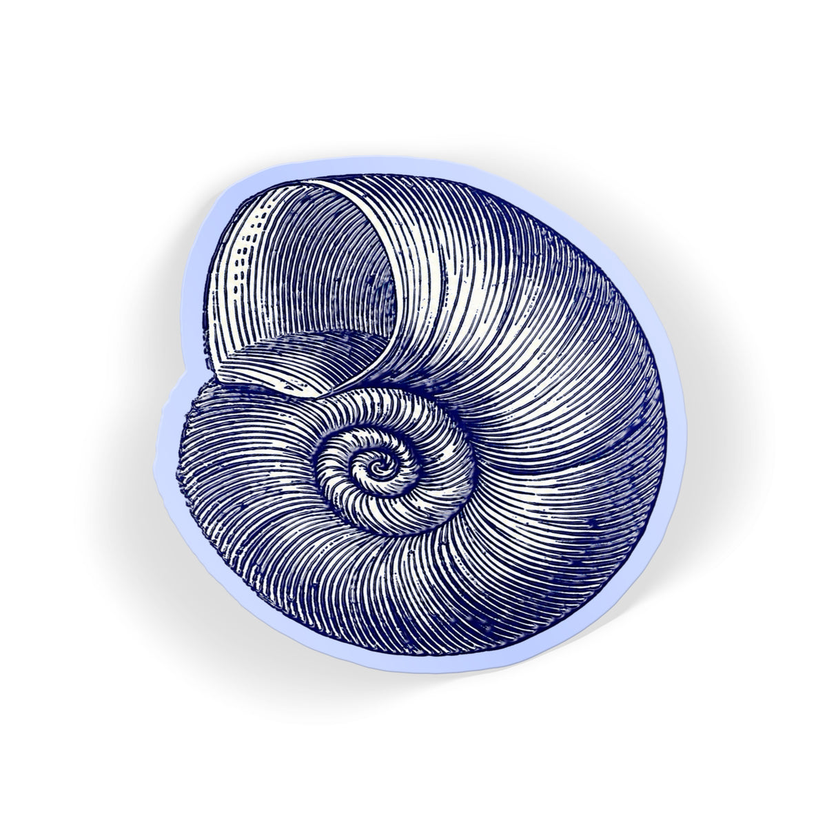 Blue Nautilus Shell