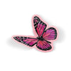 Blush Wings