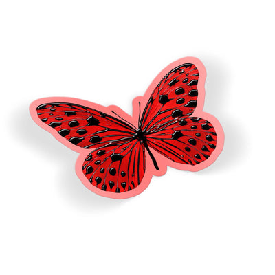 Bold Flutter