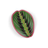 Bot Leaf
