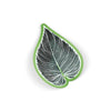 Botanic Beat