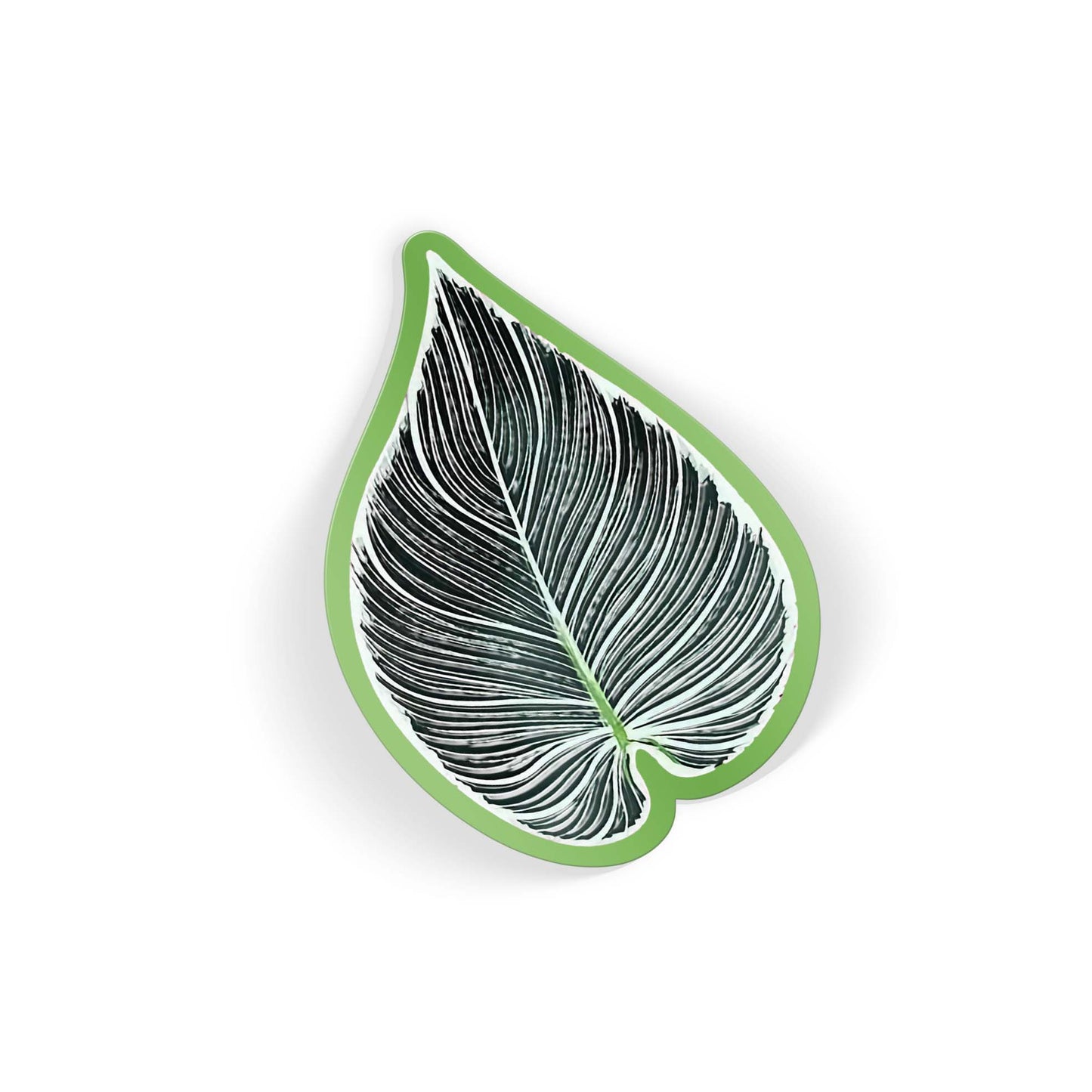 Botanic Beat