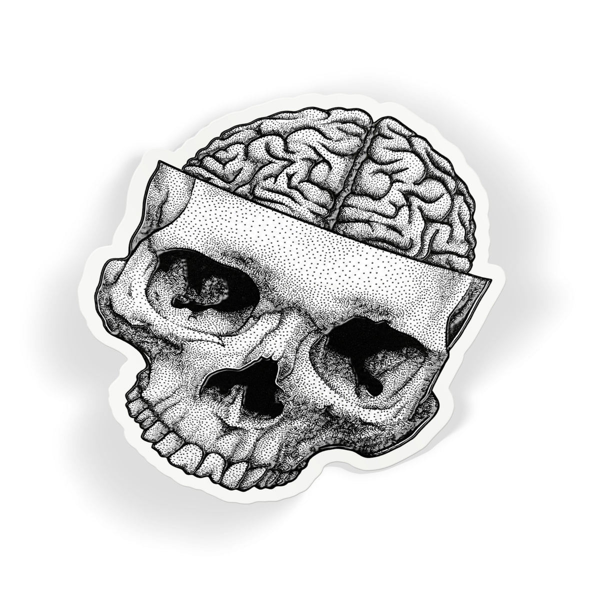 Brain Skull Stipple