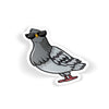 Cool Pigeon
