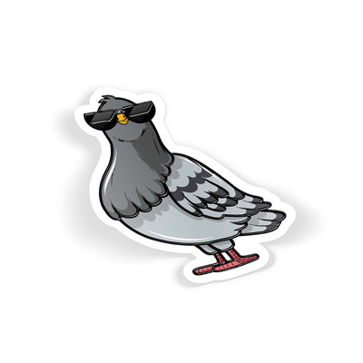 Cool Pigeon