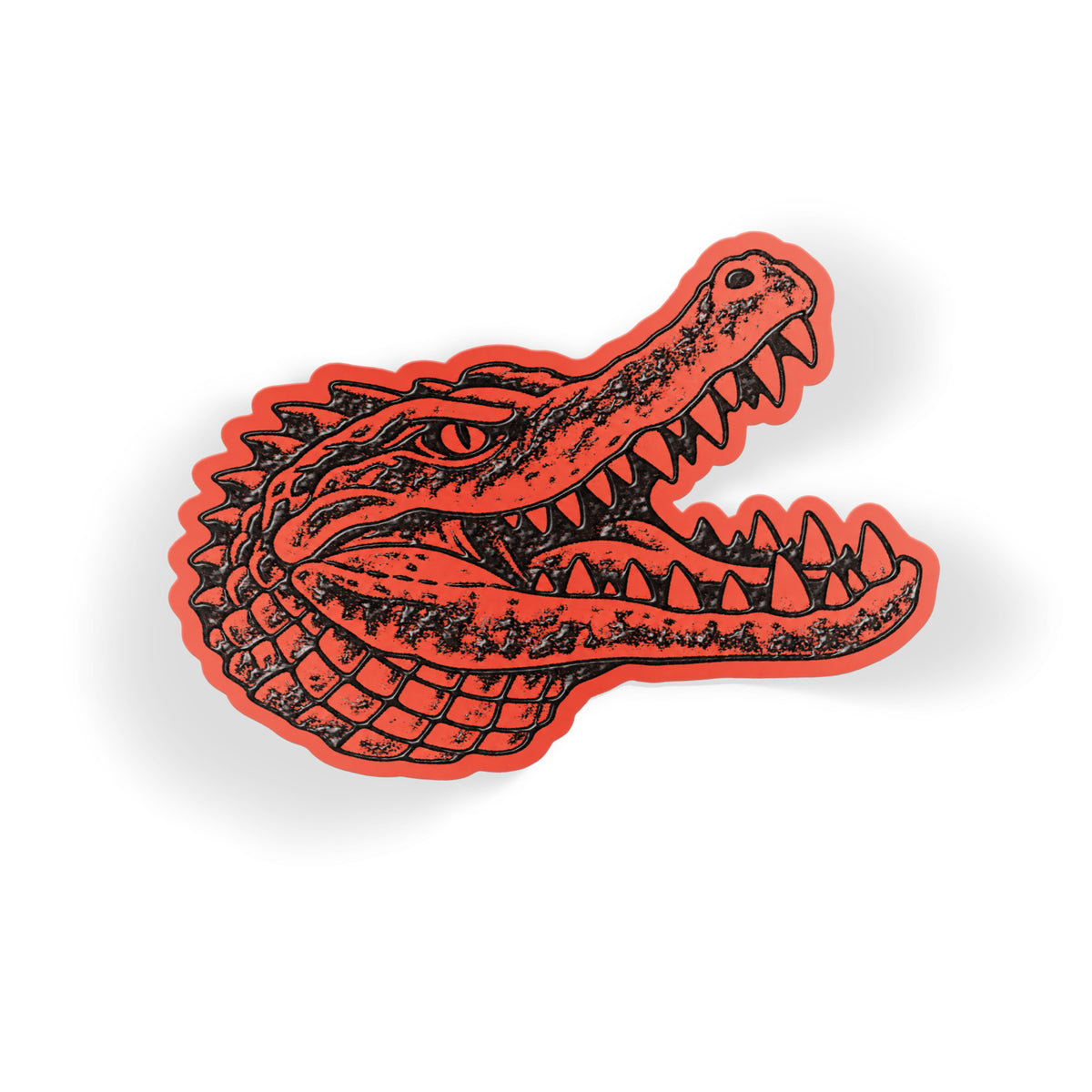 Crocodile Grin