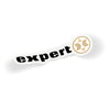 Expert Logo