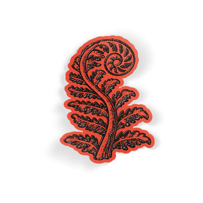 Fern Curl