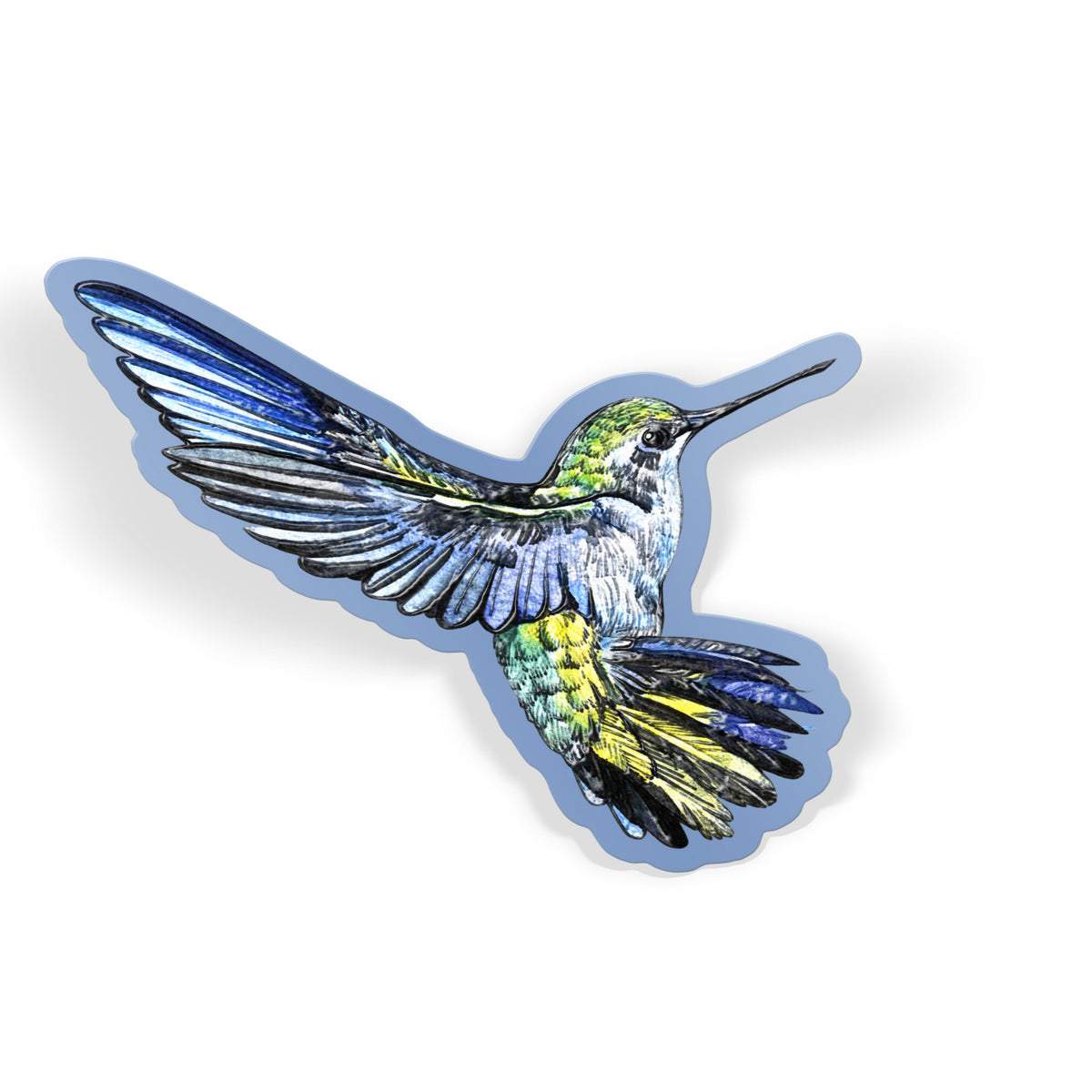 Iridescent Hummingbird