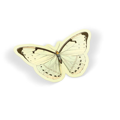 Ivory Wing