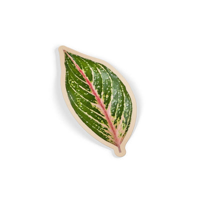 Jade Leaf I