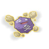 Koffing