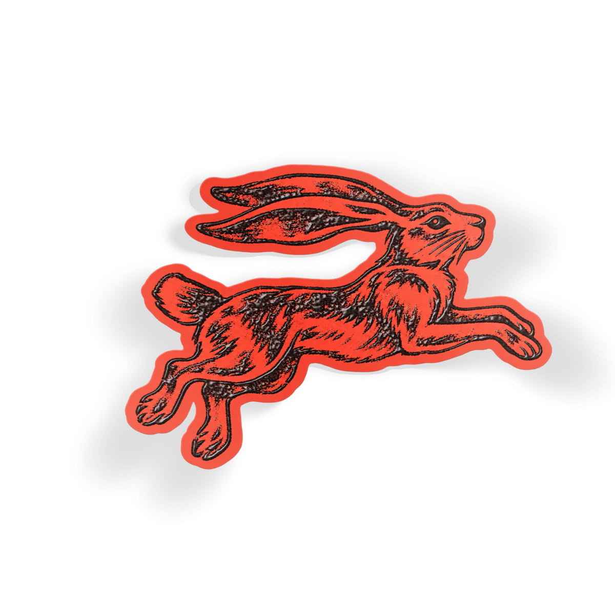 Leaping Hare