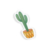 Mini Cactus