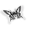 Mono Moth