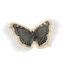 Night Moth