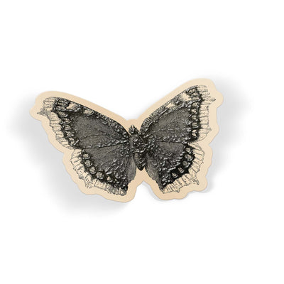 Night Moth