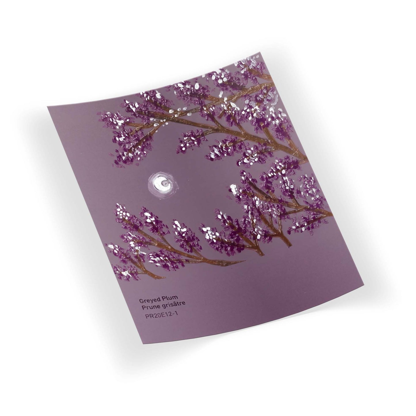 P-Greyed Plum