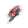 P.Bloom II
