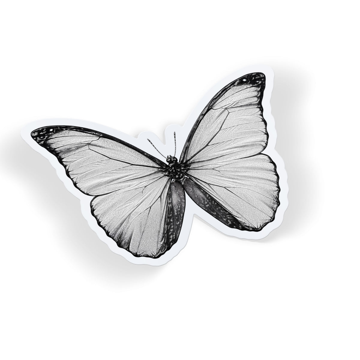 Pale Butterfly