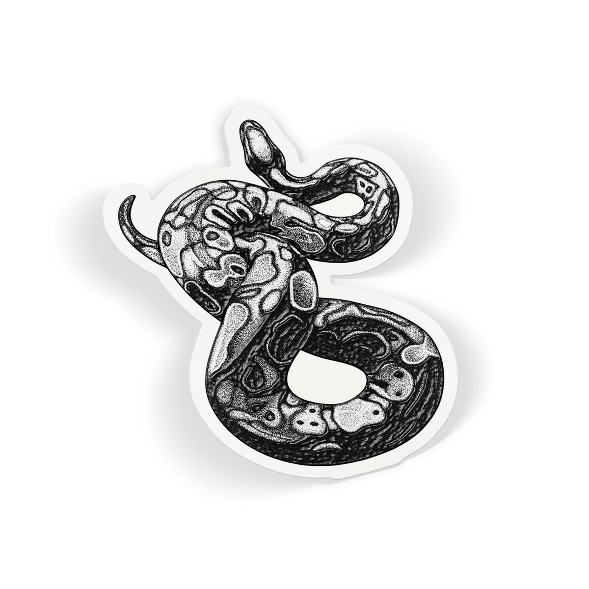 Patterned Python