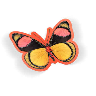 Peach Wing