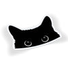 Peeking Black Cat