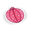 Pink Cactus