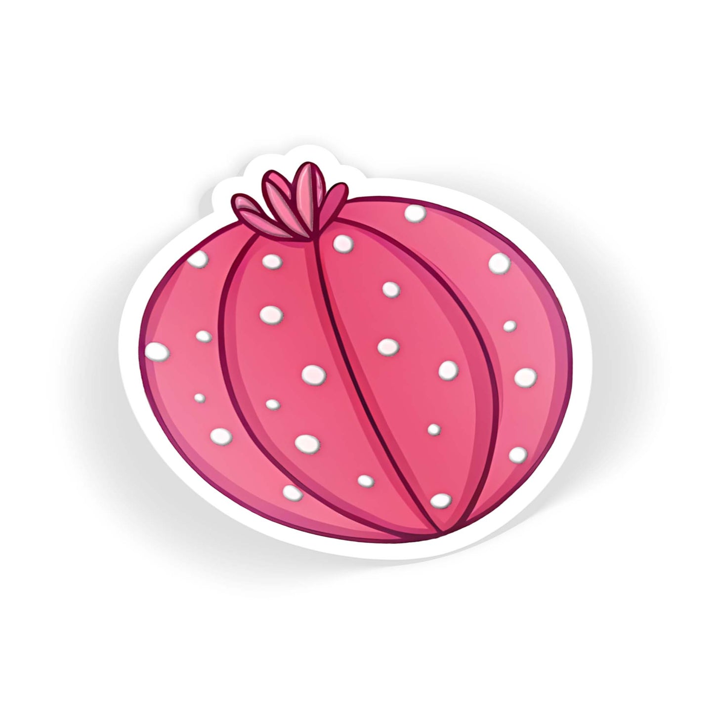 Pink Cactus