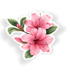 Pink Azalea