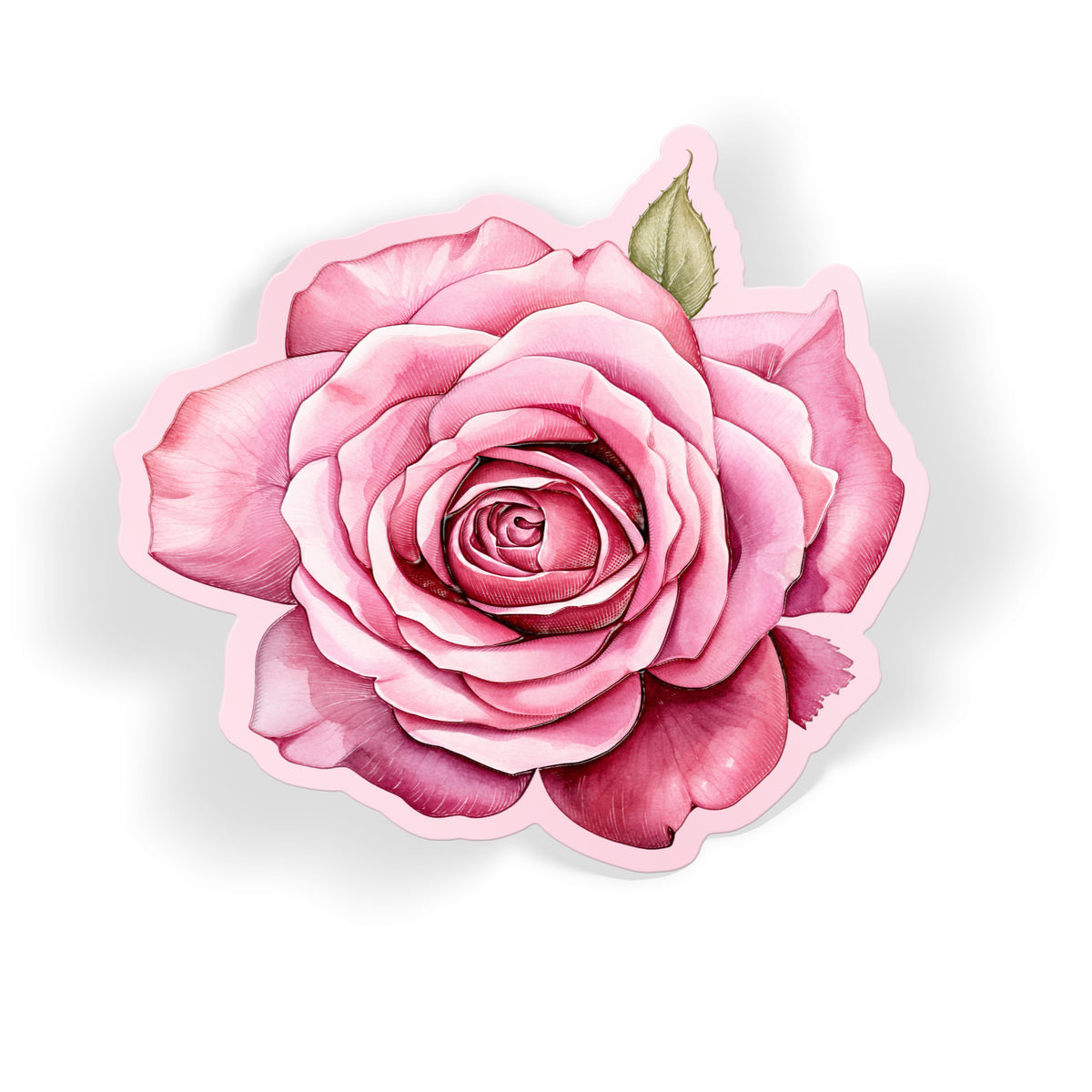 Pink Watercolour Rose