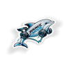 Porpoising Dolphin