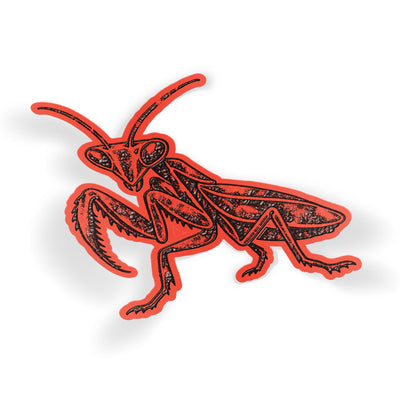 Praying Mantis
