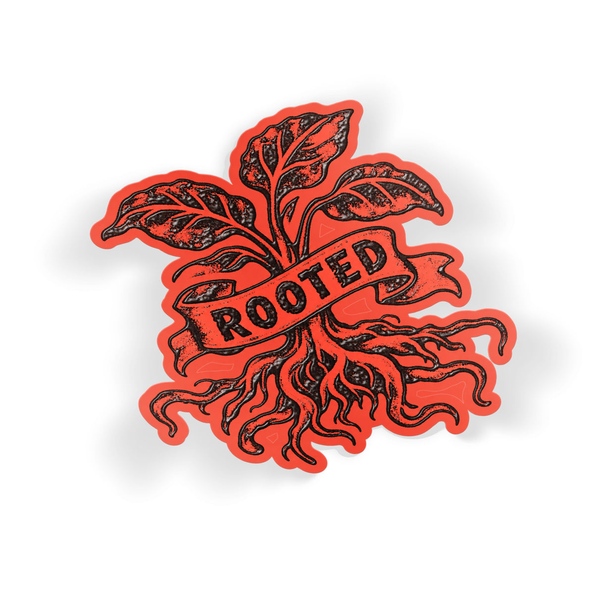 Rooted