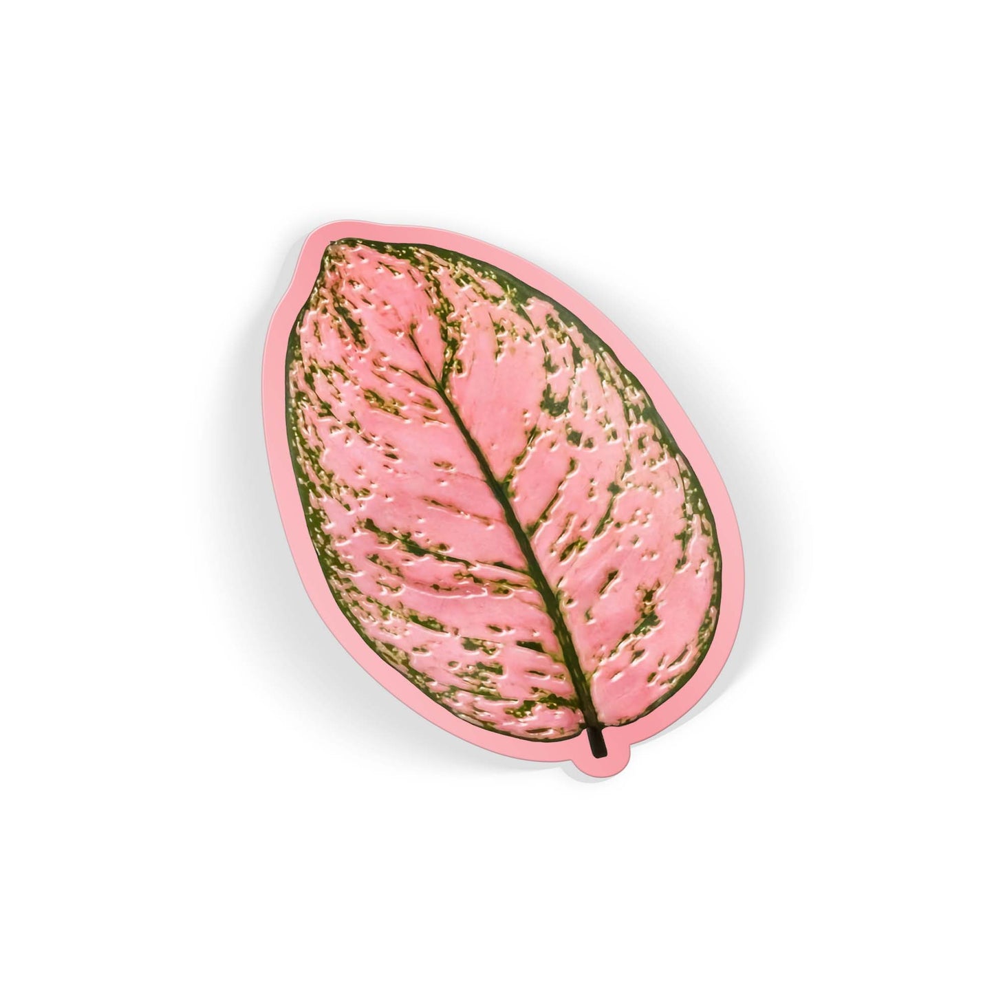 Rose Green
