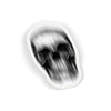 Scanline Skull