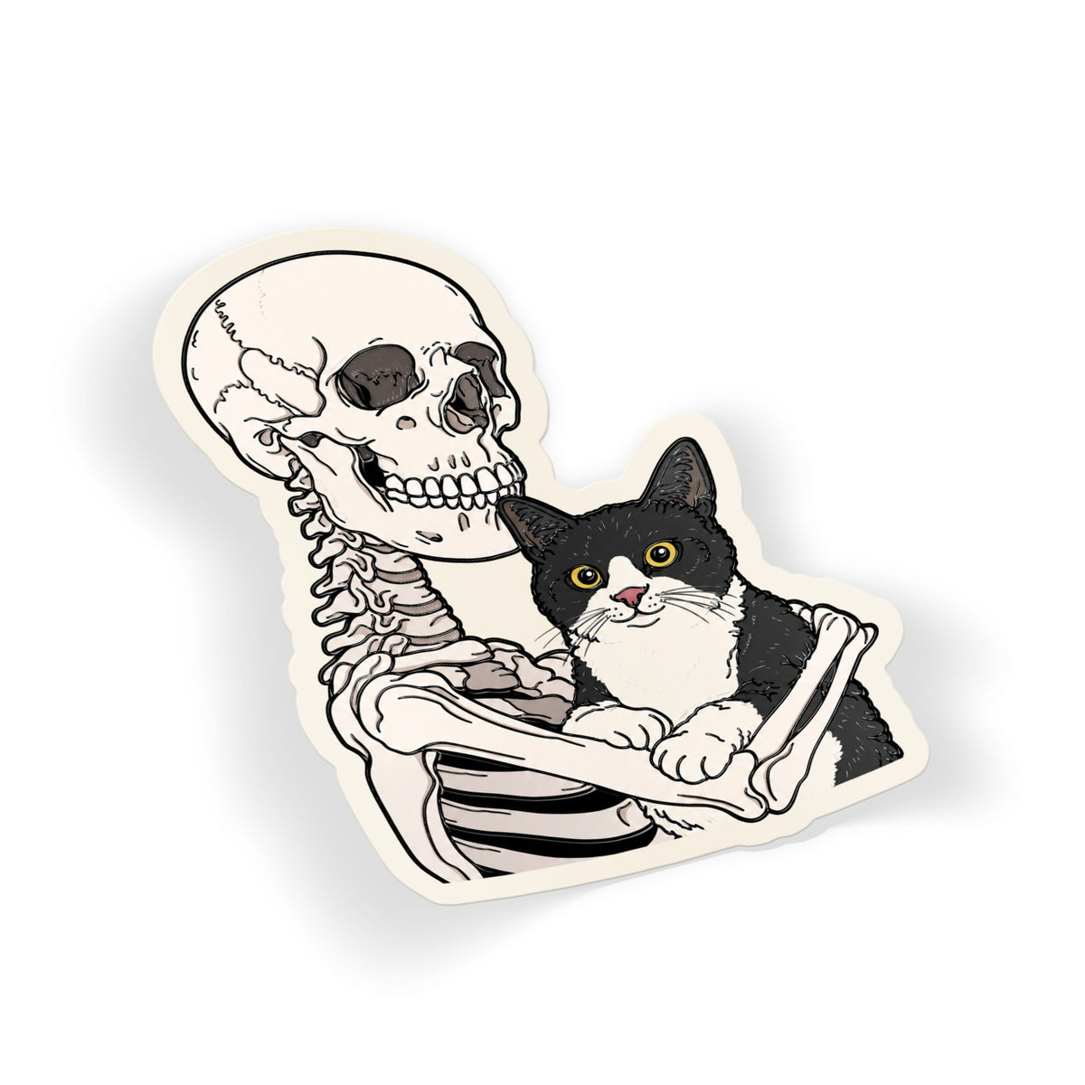Skeleton Cat Cuddle