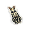 Skeleton Cat Sitting