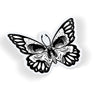Skull Wing Butterfly
