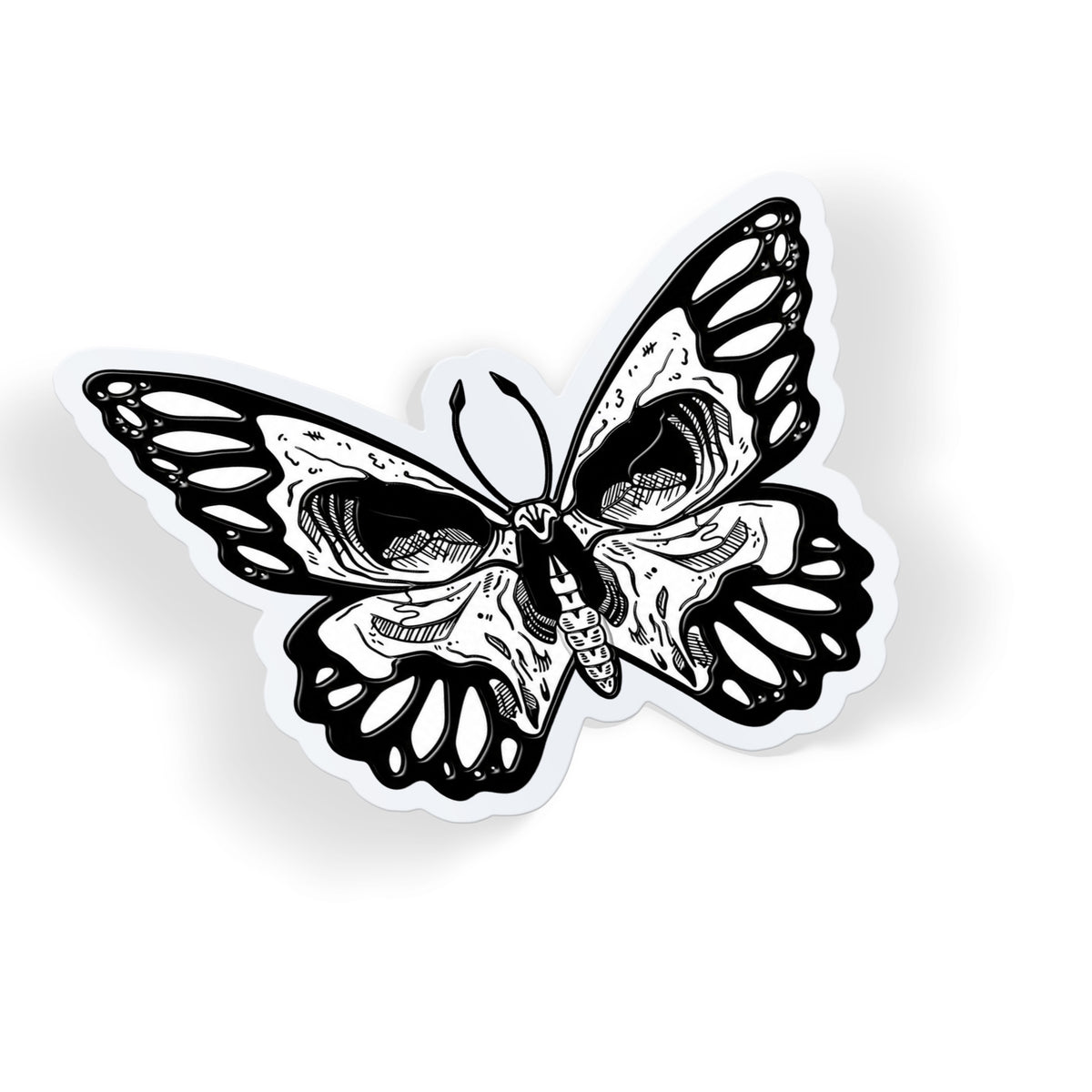 Skull Wing Butterfly