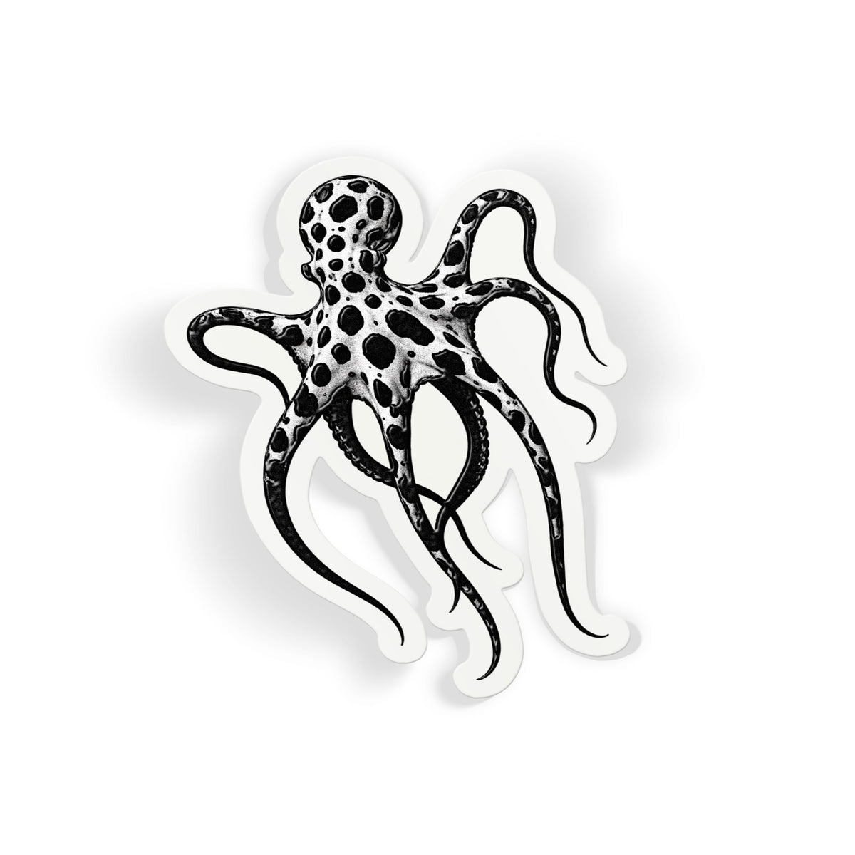 Spotted Octopus