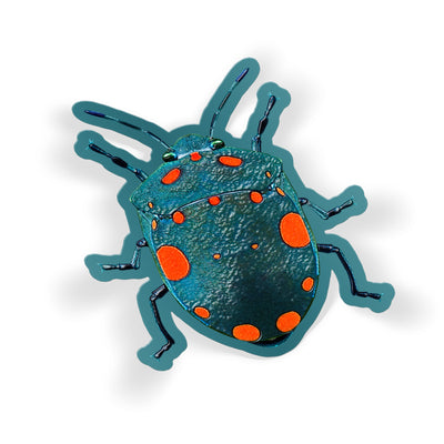 Spotted Shield Bug