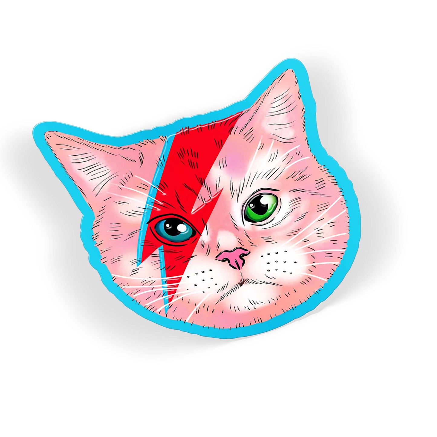 Star Kitty