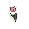 Tulip Bud II