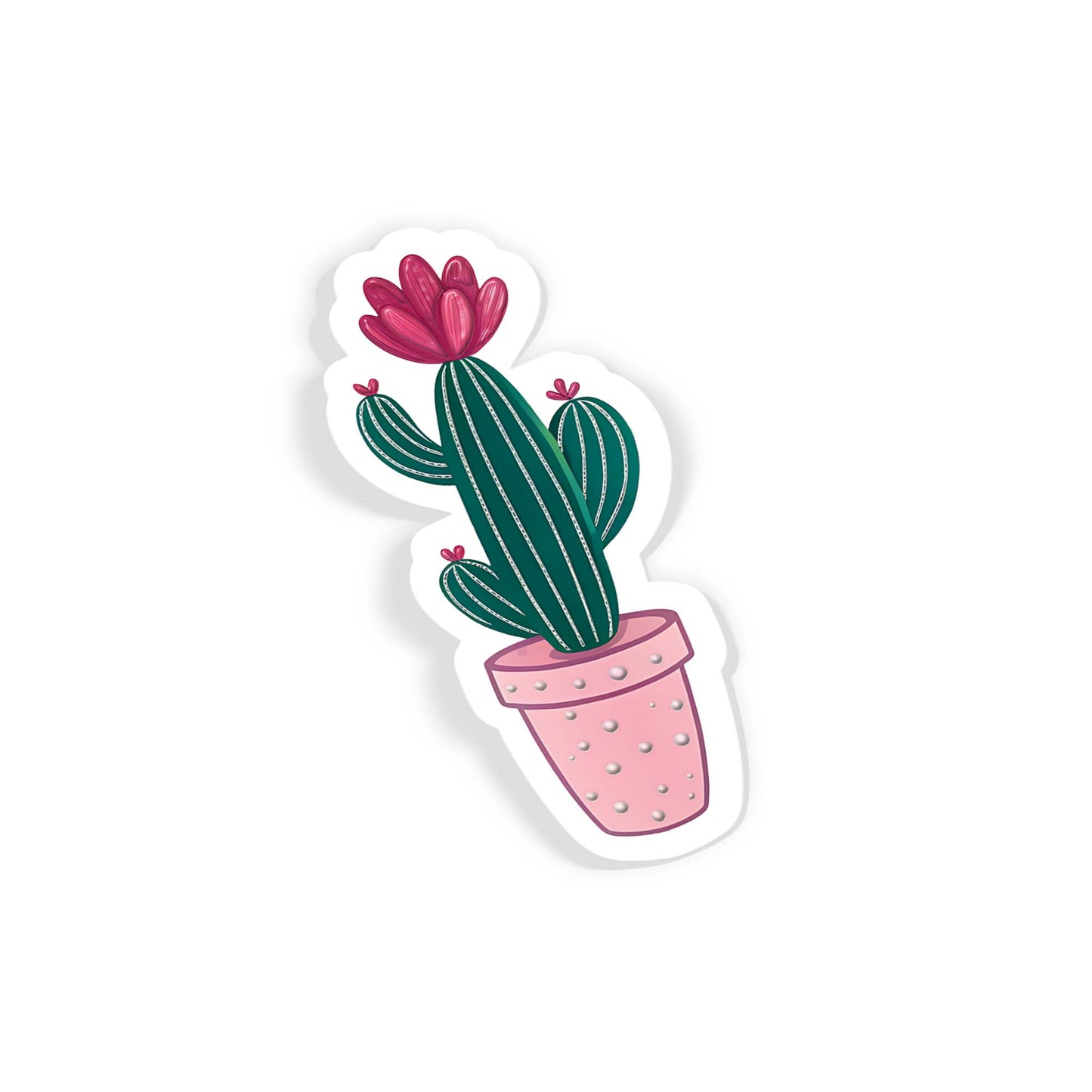 Twin Cactus