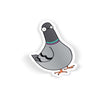 Urban Dove