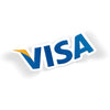 Visa Logo 2000s